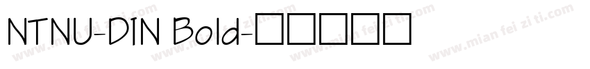 NTNU-DIN Bold字体转换